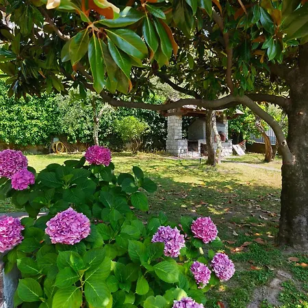 Angelica San Bartolomeo (Chiavari)