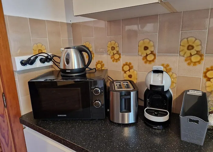 Angelica 게스트하우스 3*